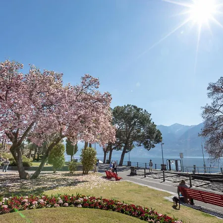 Junior 1-4 By Interhome Apartment Ascona